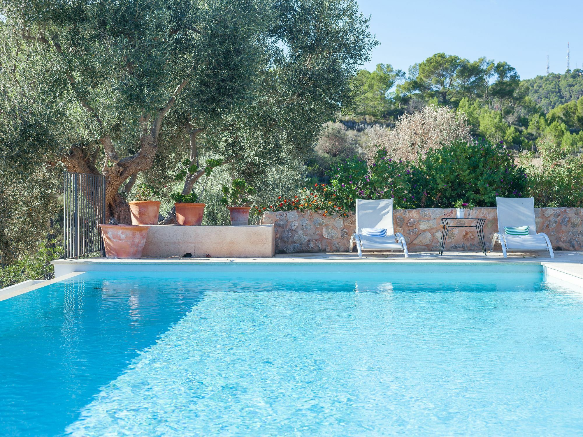 Villa Finca Luisa Para 6 Con Piscina Y Vista Mar Puerto de Andratx Buitenkant foto